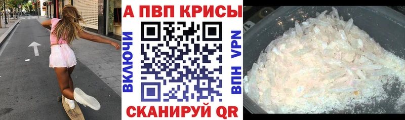 A PVP СК  Новоузенск 