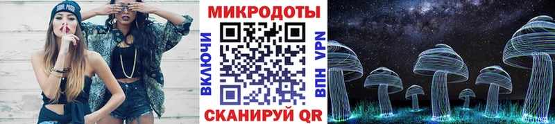 Галлюциногенные грибы мицелий  Новоузенск 